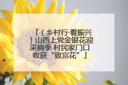 （乡村行·看振兴）山西上党金银花迎采摘季 村民家门口收获“致富花”