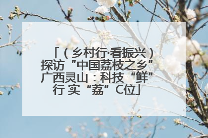 （乡村行·看振兴）探访“中国荔枝之乡”广西灵山：科技“鲜”行 实“荔”C位
