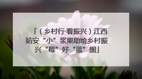 （乡村行·看振兴）江西靖安“小”浆果助绘乡村振兴“莓”好“蓝”图