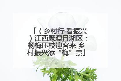 （乡村行·看振兴）江西鹰潭月湖区：杨梅压枝迎客来 乡村振兴添“梅”景