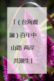 （台海观澜）百年中山路 两岸共潮生