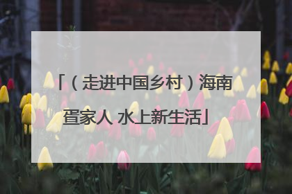 （走进中国乡村）海南疍家人 水上新生活