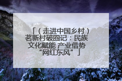 （走进中国乡村）茗新村破圈记：民族文化赋能 产业借势 “网红东风”