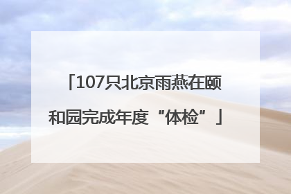 107只北京雨燕在颐和园完成年度“体检”