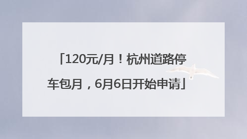 120元/月！杭州道路停车包月，6月6日开始申请