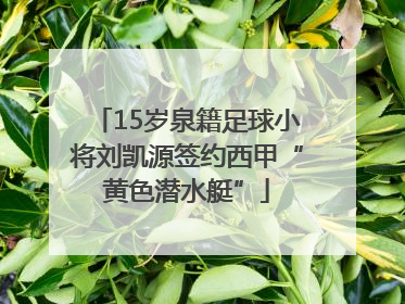 15岁泉籍足球小将刘凯源签约西甲“黄色潜水艇”