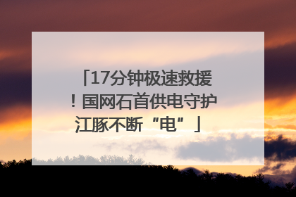 17分钟极速救援！国网石首供电守护江豚不断“电”