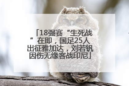 18强赛“生死战”在即，国足25人出征雅加达，刘若钒因伤无缘客战印尼