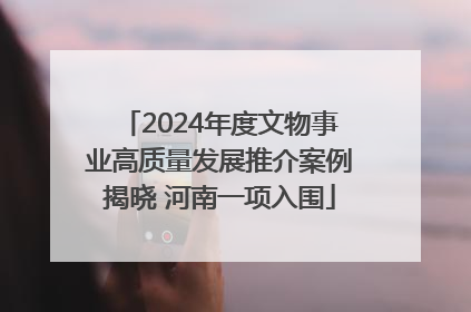 2024年度文物事业高质量发展推介案例揭晓 河南一项入围