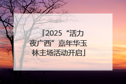 2025“活力夜广西”嘉年华玉林主场活动开启