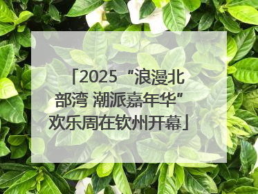 2025“浪漫北部湾 潮派嘉年华”欢乐周在钦州开幕