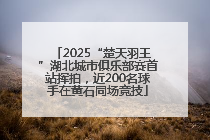 2025“楚天羽王”湖北城市俱乐部赛首站挥拍，近200名球手在黄石同场竞技