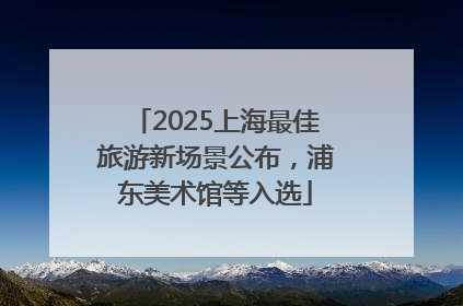 2025上海最佳旅游新场景公布，浦东美术馆等入选
