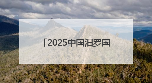2025中国汨罗国际龙舟邀请赛开赛！24支国内外龙舟队竞渡“龙舟故里”