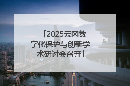 2025云冈数字化保护与创新学术研讨会召开