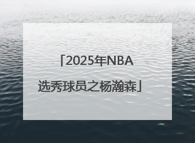 2025年NBA选秀球员之杨瀚森