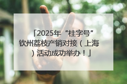 2025年“桂字号”钦州荔枝产销对接（上海）活动成功举办！