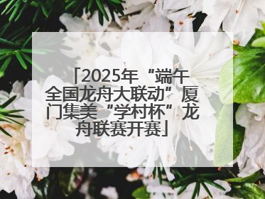 2025年“端午全国龙舟大联动”厦门集美“学村杯”龙舟联赛开赛