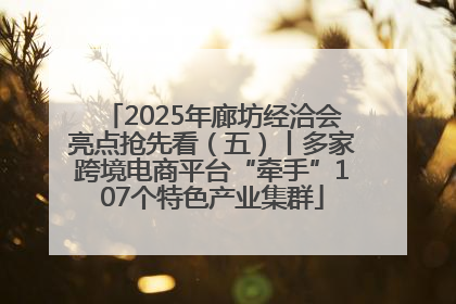 2025年廊坊经洽会亮点抢先看（五）丨多家跨境电商平台“牵手”107个特色产业集群