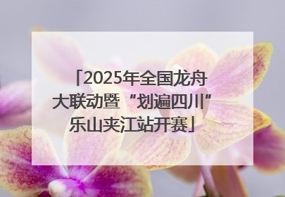 2025年全国龙舟大联动暨“划遍四川”乐山夹江站开赛