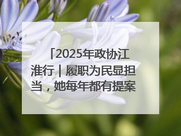 2025年政协江淮行｜履职为民显担当，她每年都有提案被评为“优秀”