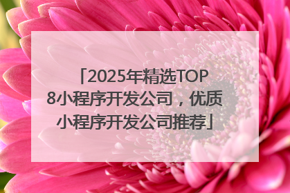 2025年精选TOP8小程序开发公司，优质小程序开发公司推荐