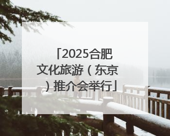 2025合肥文化旅游（东京）推介会举行