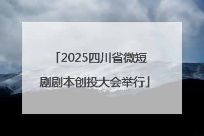 2025四川省微短剧剧本创投大会举行