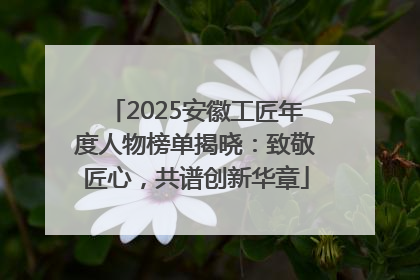 2025安徽工匠年度人物榜单揭晓：致敬匠心，共谱创新华章