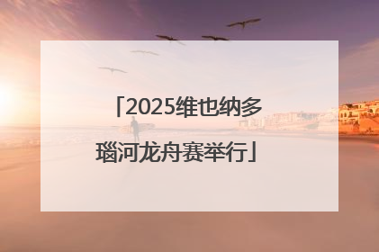 2025维也纳多瑙河龙舟赛举行