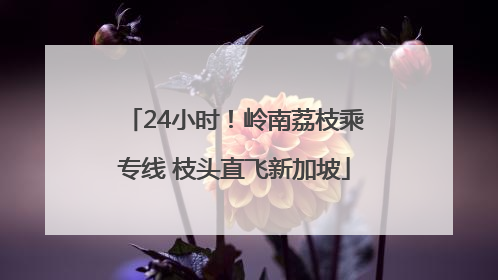 24小时！岭南荔枝乘专线 枝头直飞新加坡