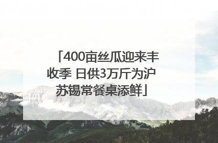 400亩丝瓜迎来丰收季 日供3万斤为沪苏锡常餐桌添鲜