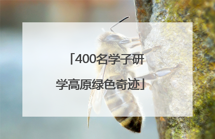 400名学子研学高原绿色奇迹