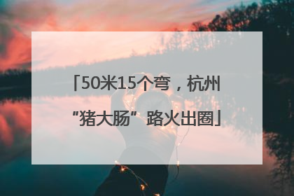 50米15个弯，杭州“猪大肠”路火出圈