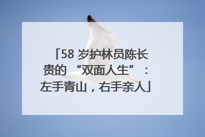 58 岁护林员陈长贵的 “双面人生”：左手青山，右手亲人