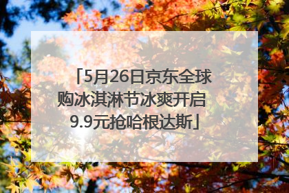 5月26日京东全球购冰淇淋节冰爽开启 9.9元抢哈根达斯