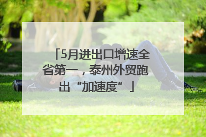 5月进出口增速全省第一，泰州外贸跑出“加速度”