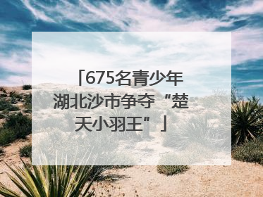 675名青少年湖北沙市争夺“楚天小羽王”