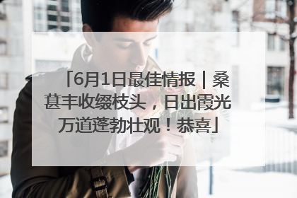 6月1日最佳情报｜桑葚丰收缀枝头，日出霞光万道蓬勃壮观！恭喜