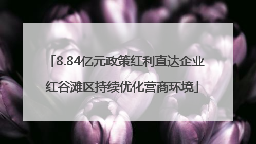 8.84亿元政策红利直达企业 红谷滩区持续优化营商环境