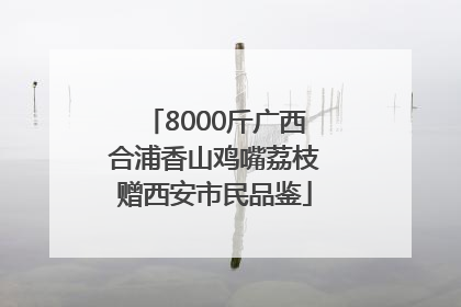 8000斤广西合浦香山鸡嘴荔枝赠西安市民品鉴