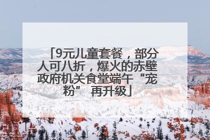9元儿童套餐，部分人可八折，爆火的赤壁政府机关食堂端午“宠粉” 再升级