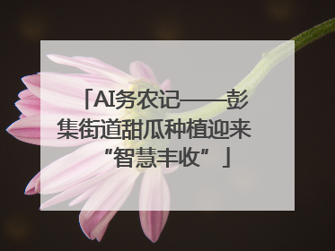 AI务农记——彭集街道甜瓜种植迎来“智慧丰收”
