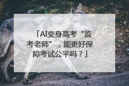 AI变身高考“监考老师”，能更好保障考试公平吗？