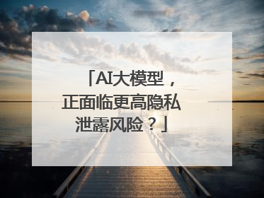AI大模型，正面临更高隐私泄露风险？