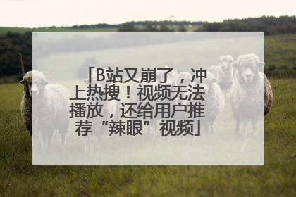 B站又崩了，冲上热搜！视频无法播放，还给用户推荐“辣眼”视频