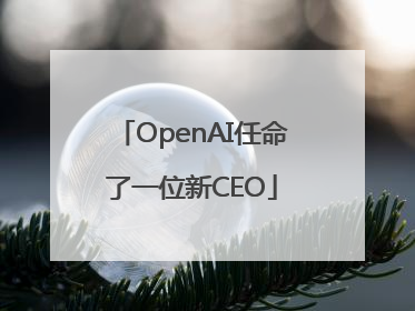OpenAI任命了一位新CEO