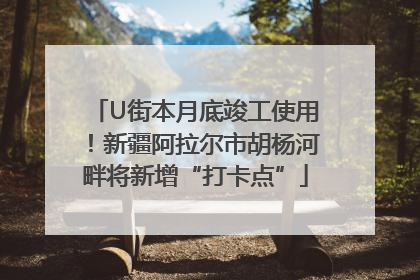 U街本月底竣工使用！新疆阿拉尔市胡杨河畔将新增“打卡点”